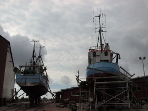 P8043545 (2)   