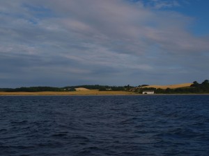 P8073589   
