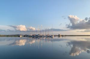 Korshavn