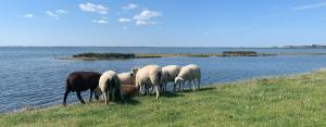 2024-07-053-sommertur-IMG 7061-x-